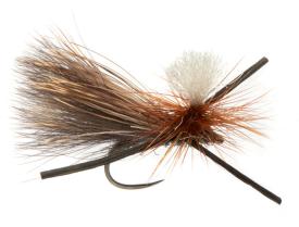 Fulling Mill Basset’s Extra Terrestrial #12