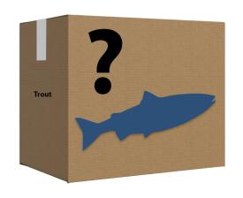 Mystery Box Trout