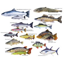 Textile Fish Pillow