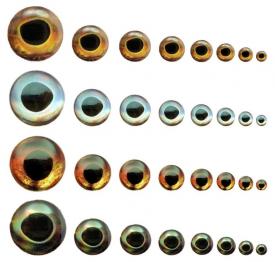 Fish Skull Living Eyes