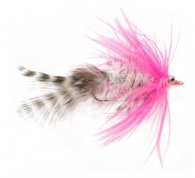 Polar Magnus - Fly Supply TV