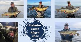 Predator Event Rugen 2026 - 05-11 t/m 08-11-2026