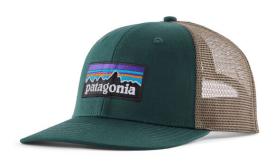 Patagonia P-6 Logo Trucker Hat Cascade Green