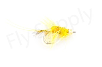 Salt Shrimp #8