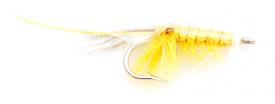 Salt Shrimp #4