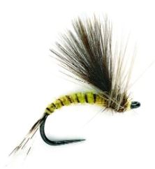 Fulling Mill CdC Olive Emerger Barbless #18
