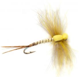 Fulling Mill Procter's Stillborn Mayfly #12