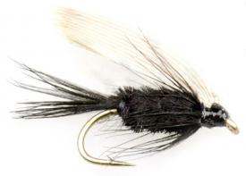 Euro Flies Black Gnat Wet Fly #14