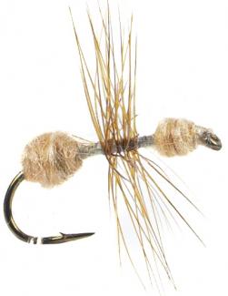 Euro Flies Cinnamon Ant #14