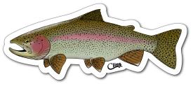Cling Rainbow Trout Sticker
