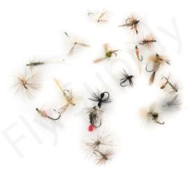 Euro Flies & Fulling Mill Dry Fly Selection 20 Flies No9