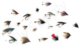 Euro Flies & Fulling Mill Wet Fly Selection 20 Flies No16