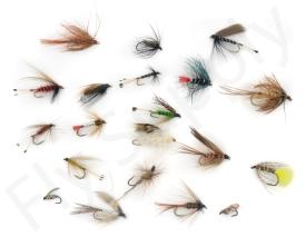 Euro Flies & Fulling Mill Wet Fly Selection 20 Flies No3