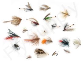 Euro Flies & Fulling Mill Wet Fly Selection 20 Flies No4