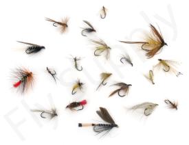Euro Flies & Fulling Mill Wet Fly Selection 20 Flies No8