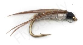 Euro Flies Corixa Water Boatman Fly #12
