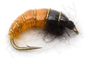 Euro Flies Czech Caddis Larva Caddis Orange #10