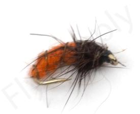 Euro Flies Czech Caddis Larva Caddis Orange #16