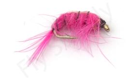 Euro Flies Goldbead Pink Shrimp Nymph #16