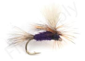 Euro Flies Parachute Purple Haze #14