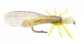 Euro Flies True Stone Fly Yellow #12