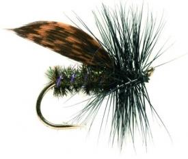 Fulling Mill Alder #16		