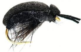 Fulling Mill Carnhill's Foam Beetle #12