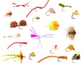 Fulling Mill Carp Set Premium 20pc