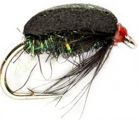Fulling Mill Coch Y Bonddu Beetle #12