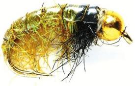 Fulling Mill Depth Charge Glister Shrimp #10