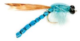 Fulling Mill Dad's Demoiselle #10