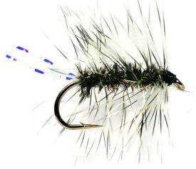 Fulling Mill Griffiths Gnat #16