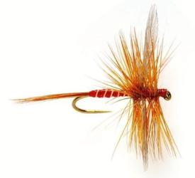 Fulling Mill Lunn's Particular #18