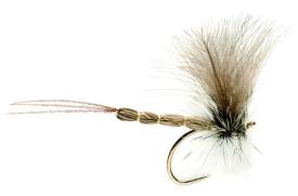 Fulling Mill Mayfly CdC #12
