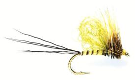 Fulling Mill Mayfly Loopwing #10
