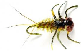 Fulling Mill Oliver Edwards March Brown Nymph Barbless #12