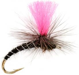 Fulling Mill Oliver Edwards Pinkhammer #18