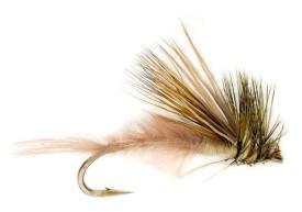 Fulling Mill Procter's Active Mayfly Emerger #10