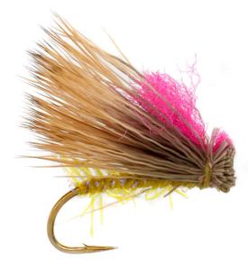 Fulling Mill Ronans Tussock Cicada #6