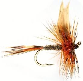 Fulling Mill Traditional March Brown #14