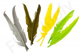 Goose wing quills 