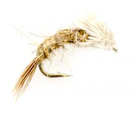 Euro Flies Hatching Nymph #16
