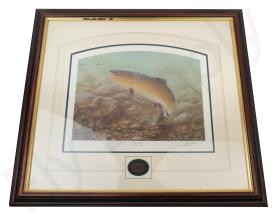 John Silver Brown Trout Print Including Frame - Limited Edition