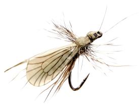 Json Caddis Adult 1 Ash Grey #12