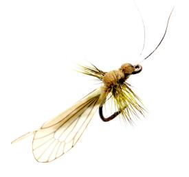 Json Caddis Adult 3 Gold / Pistachio Green #18