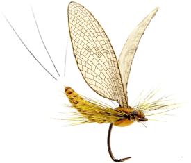 Json Mayfly Dun 1 Cinnamon Brown #10