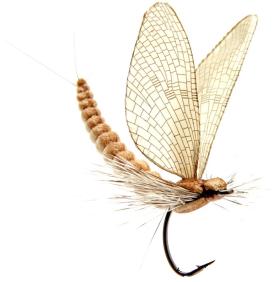 Json Mayfly Dun 1 Vanilla Cream #10
