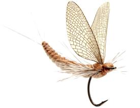 Json Mayfly Dun 2 Vanilla Cream #12