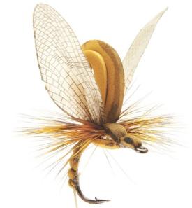 Json Mayfly Emerger 1 Olive Brown #8