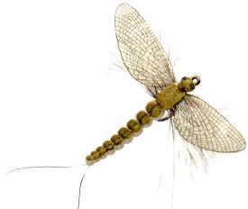 Json Mayfly Spent 2 Olive Grey #12